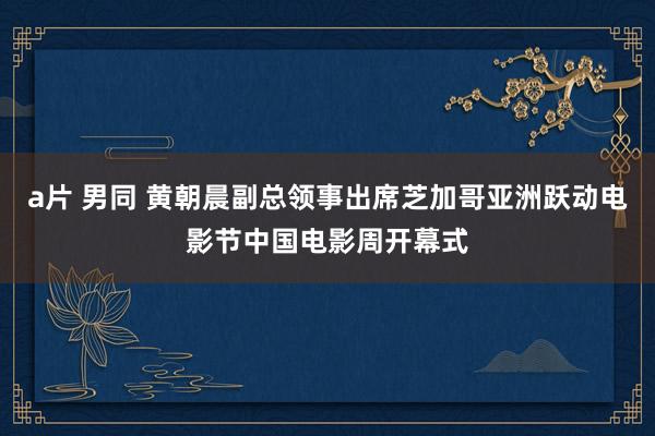 a片 男同 黄朝晨副总领事出席芝加哥亚洲跃动电影节中国电影周开幕式