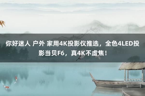 你好迷人 户外 家用4K投影仪推选，全色4LED投影当贝F6，真4K不虚焦！