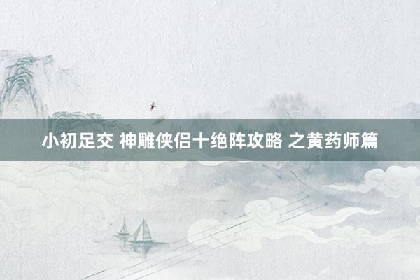 小初足交 神雕侠侣十绝阵攻略 之黄药师篇