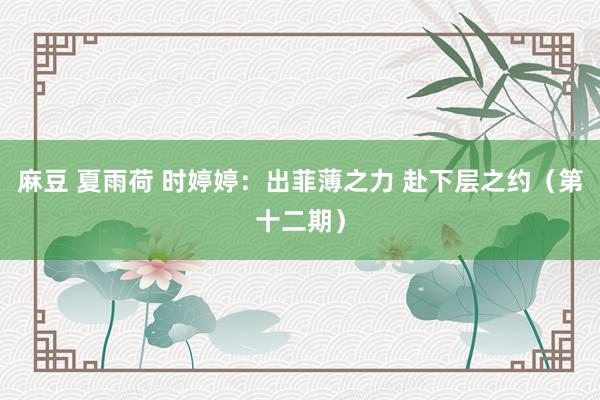 麻豆 夏雨荷 时婷婷：出菲薄之力 赴下层之约（第十二期）