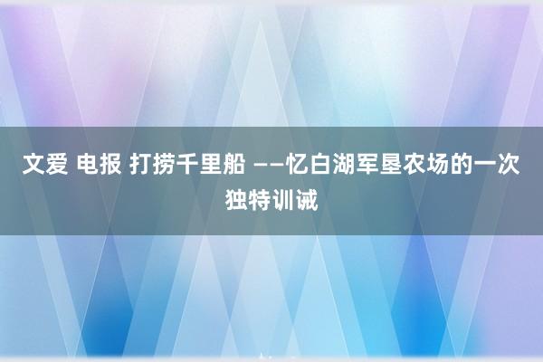 文爱 电报 打捞千里船 ——忆白湖军垦农场的一次独特训诫