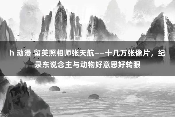 h 动漫 留英照相师张天航——十几万张像片，纪录东说念主与动物好意思好转眼