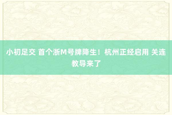 小初足交 首个浙M号牌降生！杭州正经启用 关连教导来了