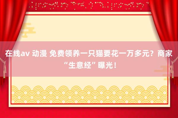 在线av 动漫 免费领养一只猫要花一万多元？商家“生意经”曝光！