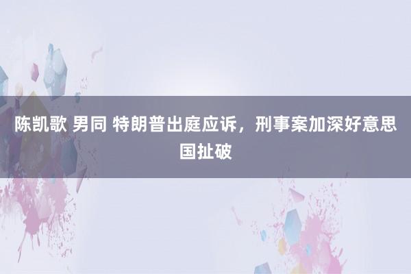 陈凯歌 男同 特朗普出庭应诉，刑事案加深好意思国扯破