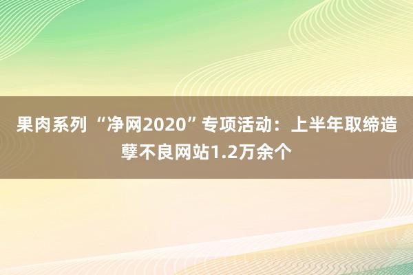 果肉系列 “净网2020”专项活动：上半年取缔造孽不良网站1.2万余个