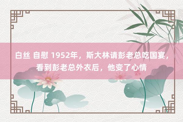 白丝 自慰 1952年，斯大林请彭老总吃国宴，看到彭老总外衣后，他变了心情