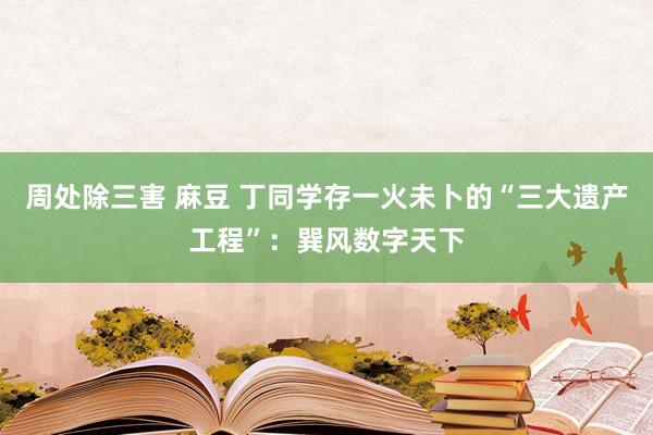 周处除三害 麻豆 丁同学存一火未卜的“三大遗产工程”：巽风数字天下