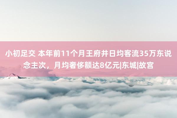 小初足交 本年前11个月王府井日均客流35万东说念主次，月均奢侈额达8亿元|东城|故宫