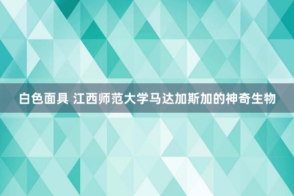 白色面具 江西师范大学马达加斯加的神奇生物