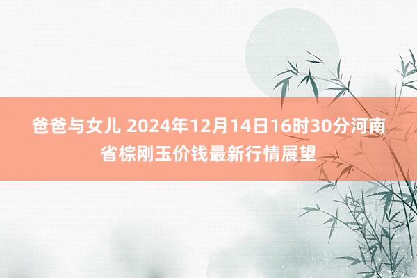 爸爸与女儿 2024年12月14日16时30分河南省棕刚玉价钱最新行情展望